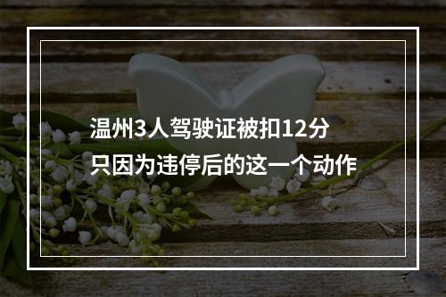 温州3人驾驶证被扣12分 只因为违停后的这一个动作