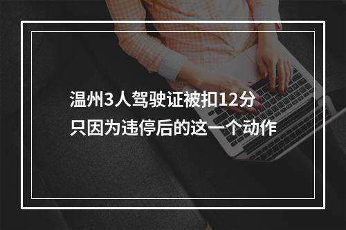 温州3人驾驶证被扣12分 只因为违停后的这一个动作