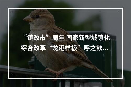 “镇改市”周年 国家新型城镇化综合改革“龙港样板”呼之欲出