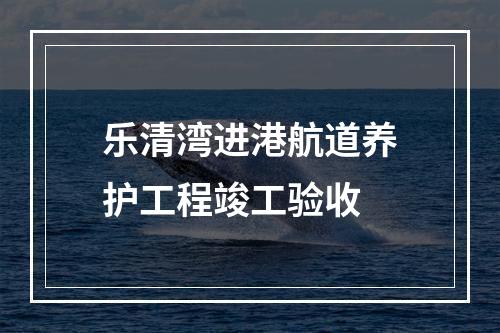 乐清湾进港航道养护工程竣工验收