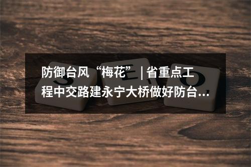 防御台风“梅花” | 省重点工程中交路建永宁大桥做好防台工作