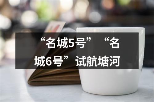 “名城5号”“名城6号”试航塘河