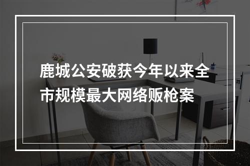 鹿城公安破获今年以来全市规模最大网络贩枪案