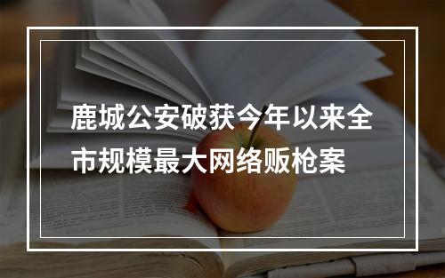 鹿城公安破获今年以来全市规模最大网络贩枪案