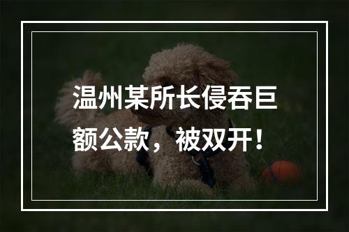 温州某所长侵吞巨额公款，被双开！