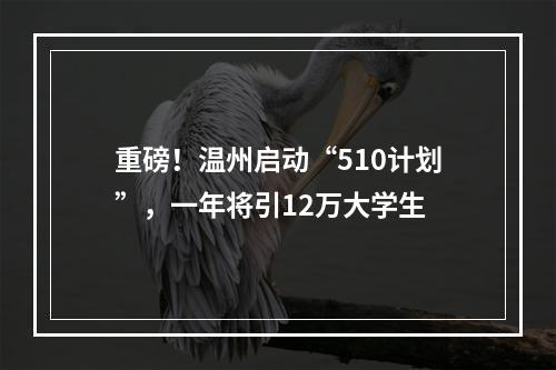 重磅！温州启动“510计划”，一年将引12万大学生