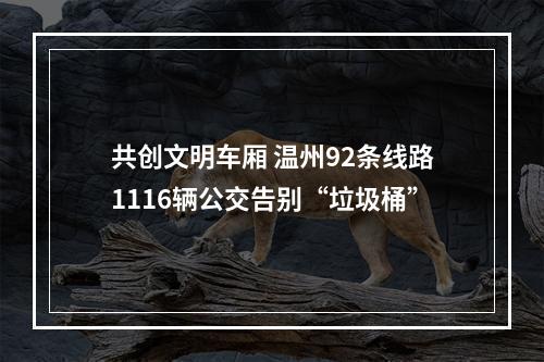 共创文明车厢 温州92条线路1116辆公交告别“垃圾桶”