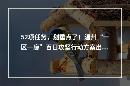 52项任务，划重点了！温州“一区一廊”百日攻坚行动方案出炉！
