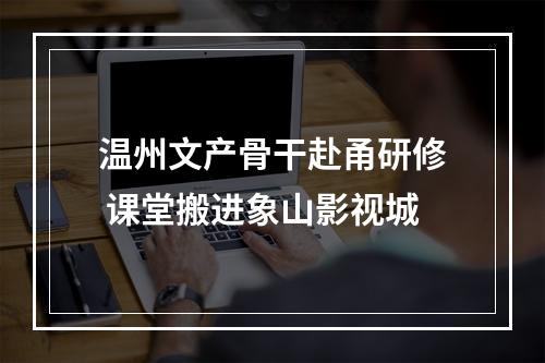 温州文产骨干赴甬研修 课堂搬进象山影视城