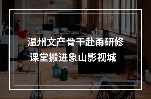 温州文产骨干赴甬研修 课堂搬进象山影视城