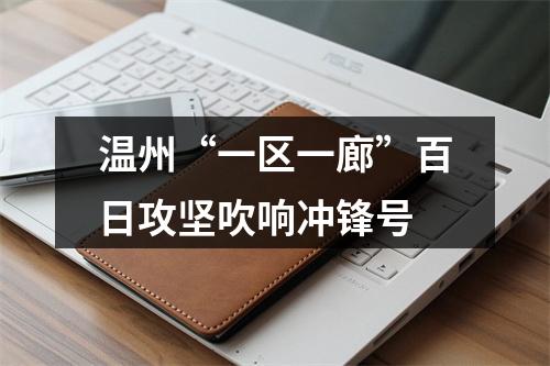 温州“一区一廊”百日攻坚吹响冲锋号