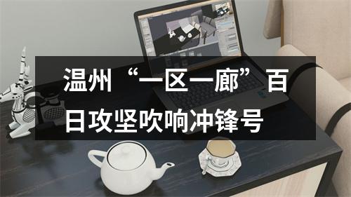 温州“一区一廊”百日攻坚吹响冲锋号