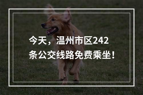 今天，温州市区242条公交线路免费乘坐！