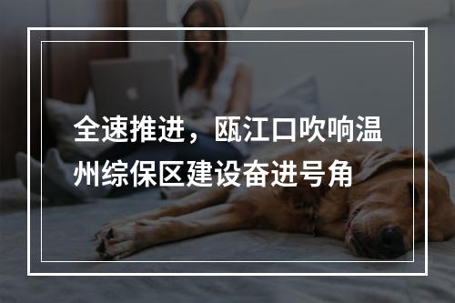 全速推进，瓯江口吹响温州综保区建设奋进号角