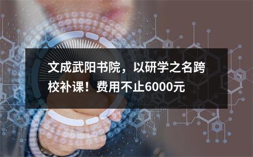 文成武阳书院，以研学之名跨校补课！费用不止6000元