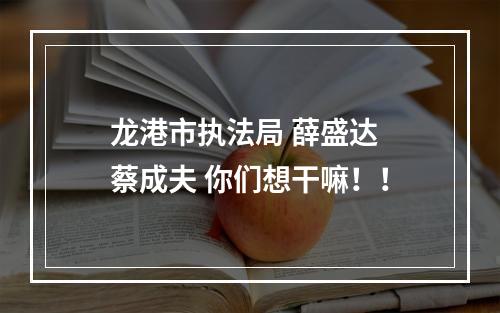 龙港市执法局 薛盛达 蔡成夫 你们想干嘛！！