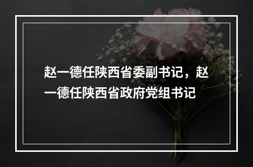 赵一德任陕西省委副书记，赵一德任陕西省政府党组书记