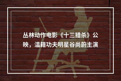 丛林动作电影《十三猎杀》公映，温籍功夫明星谷尚蔚主演