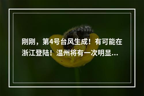刚刚，第4号台风生成！有可能在浙江登陆！温州将有一次明显降水过程