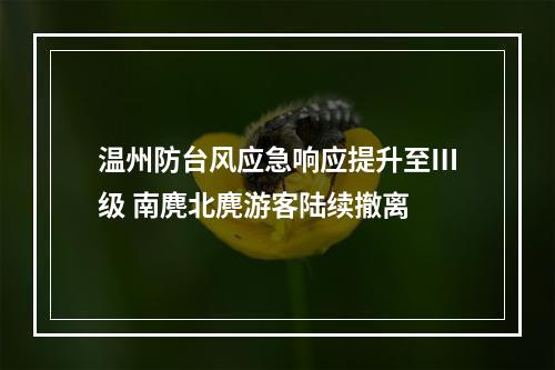 温州防台风应急响应提升至Ⅲ级 南麂北麂游客陆续撤离