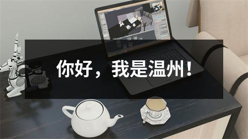 你好，我是温州！