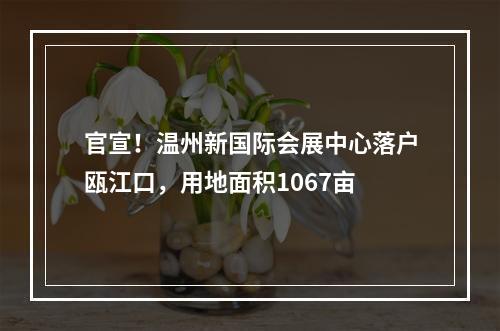 官宣！温州新国际会展中心落户瓯江口，用地面积1067亩