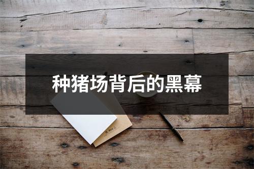 种猪场背后的黑幕