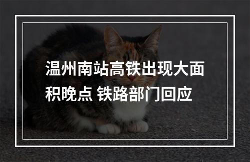 温州南站高铁出现大面积晚点 铁路部门回应