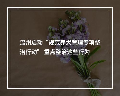 温州启动“规范养犬管理专项整治行动” 重点整治这些行为