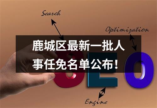 鹿城区最新一批人事任免名单公布！