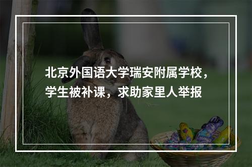 北京外国语大学瑞安附属学校，学生被补课，求助家里人举报