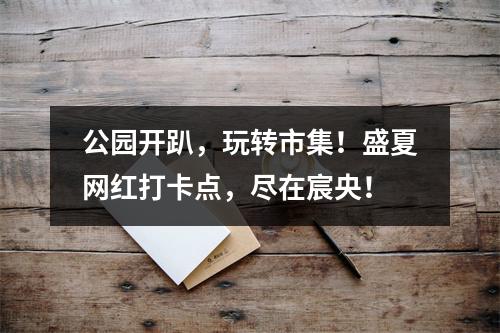 公园开趴，玩转市集！盛夏网红打卡点，尽在宸央！