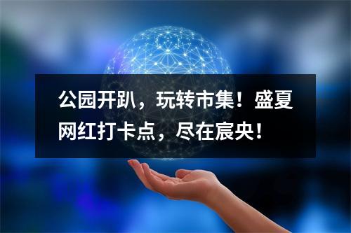 公园开趴，玩转市集！盛夏网红打卡点，尽在宸央！