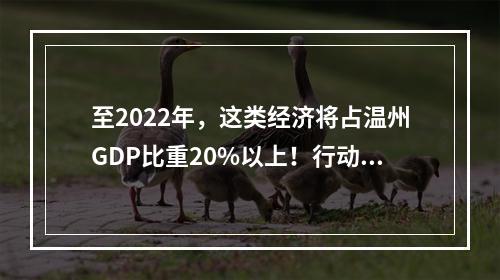 至2022年，这类经济将占温州GDP比重20%以上！行动计划出炉