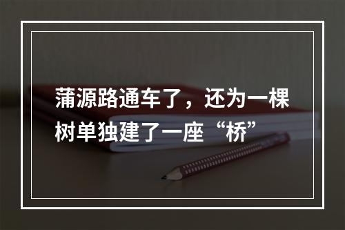 蒲源路通车了，还为一棵树单独建了一座“桥”
