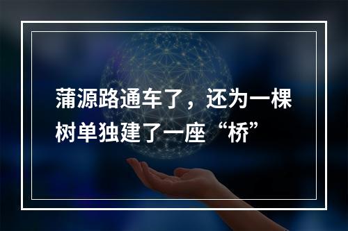 蒲源路通车了，还为一棵树单独建了一座“桥”