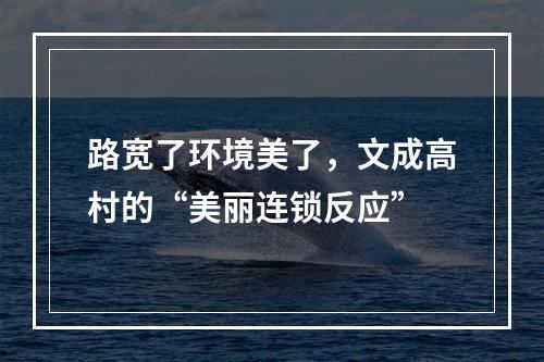 路宽了环境美了，文成高村的“美丽连锁反应”