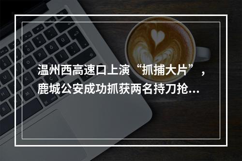 温州西高速口上演“抓捕大片”，鹿城公安成功抓获两名持刀抢劫逃犯