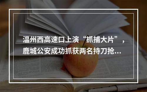 温州西高速口上演“抓捕大片”，鹿城公安成功抓获两名持刀抢劫逃犯