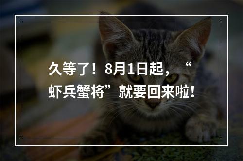 久等了！8月1日起，“虾兵蟹将”就要回来啦！