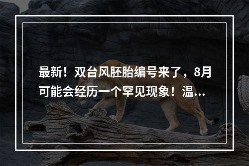 最新！双台风胚胎编号来了，8月可能会经历一个罕见现象！温州接下来的天气