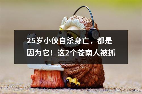 25岁小伙自杀身亡，都是因为它！这2个苍南人被抓