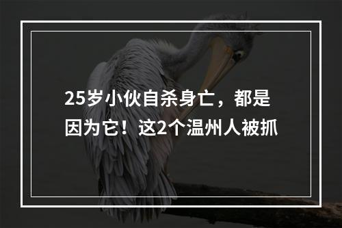 25岁小伙自杀身亡，都是因为它！这2个温州人被抓