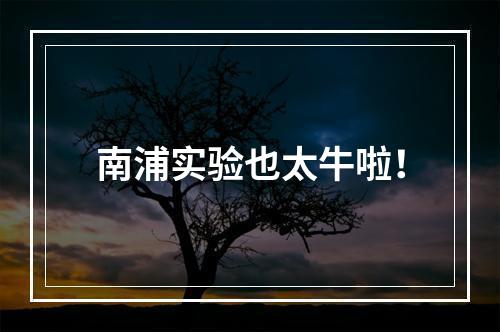 南浦实验也太牛啦！