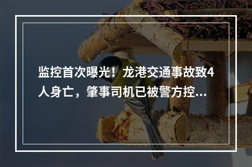 监控首次曝光！龙港交通事故致4人身亡，肇事司机已被警方控制