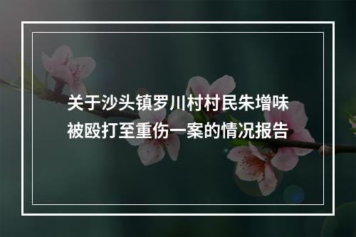关于沙头镇罗川村村民朱增味被殴打至重伤一案的情况报告