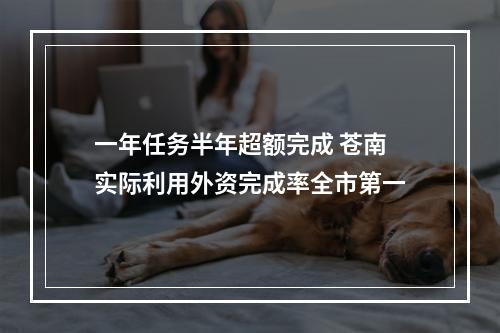 一年任务半年超额完成 苍南实际利用外资完成率全市第一