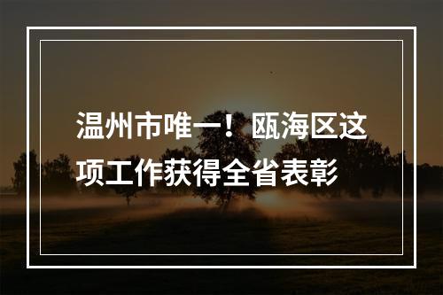 温州市唯一！瓯海区这项工作获得全省表彰