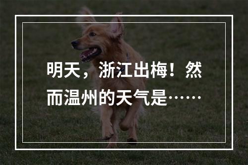 明天，浙江出梅！然而温州的天气是……