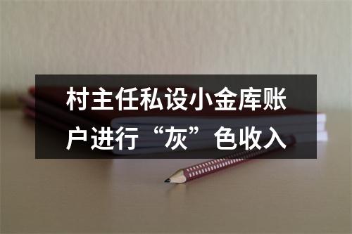 村主任私设小金库账户进行“灰”色收入